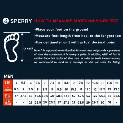 Sperry Men's PLUSHWAVE Dock Slide Sandal - Black (STS24138)