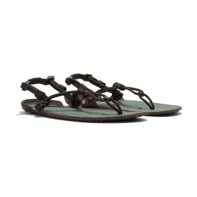 Xero Sandals - Aqua Cloud - Java Brown/Dark Forest - Men's
